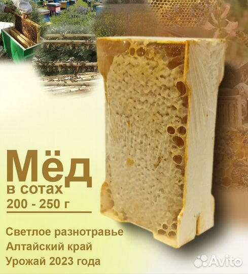 Мёд маленькие соты