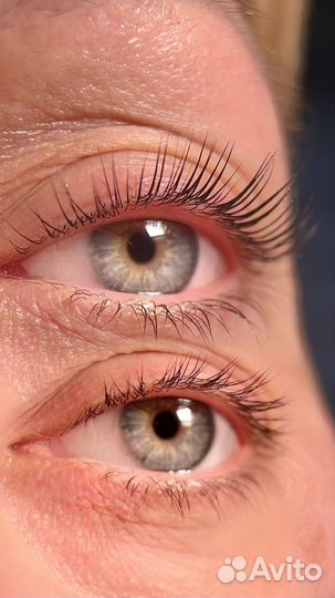 Ламинирование ресниц/бровей