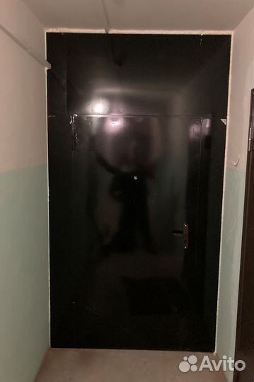 Тамбурная перегородка (дверь на карман)