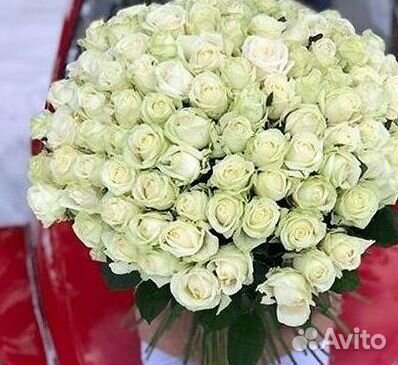 Розы высокие Доставка цветов