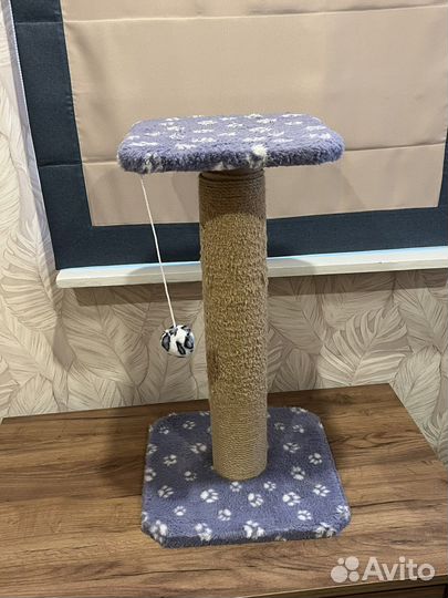 Когтеточка-лежанка