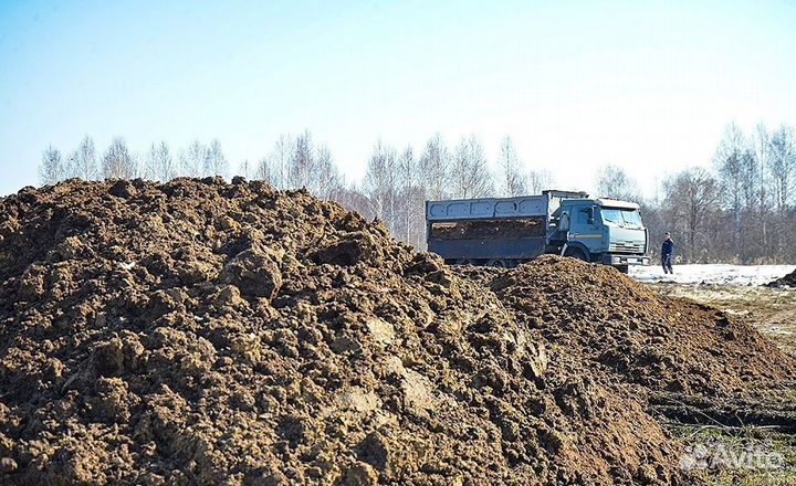 Куриный помет