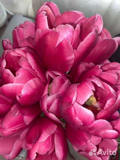 Букет из тюльпанов)