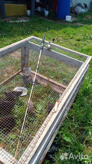 Спиннинг на щуку