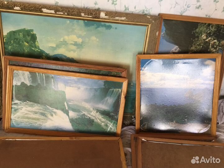 Картины разные, море лес