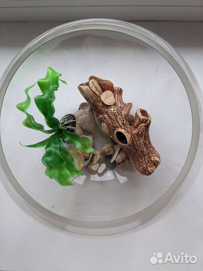 Аквариум с фигурками