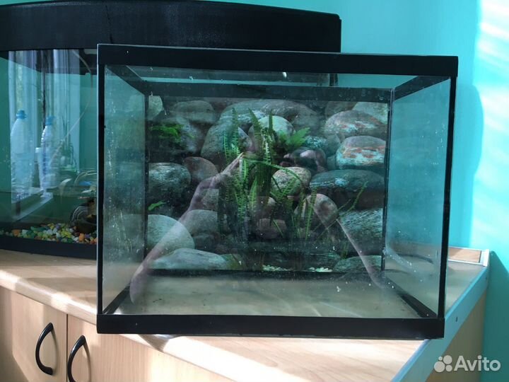 Аквариум