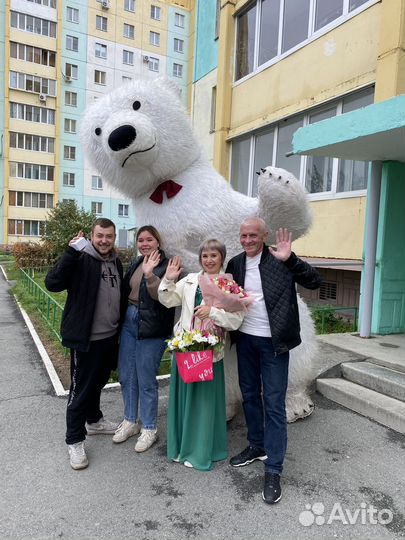 Белый мишка поздравление, Панда, медведь чебурашка