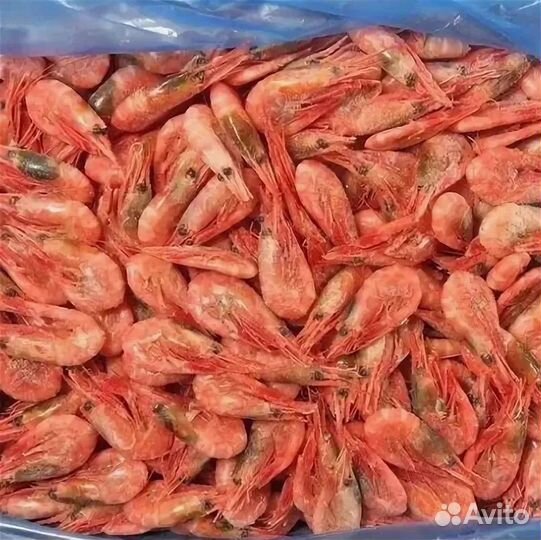 Северная креветка 250+ Свежак