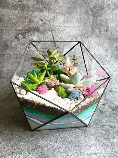 Флорариум бонсай подарок