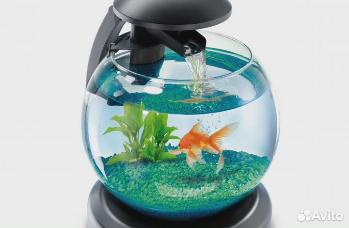 Аквариум