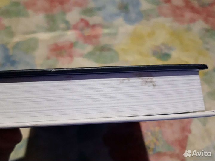 Рваное время. Сергей Мнацаканян