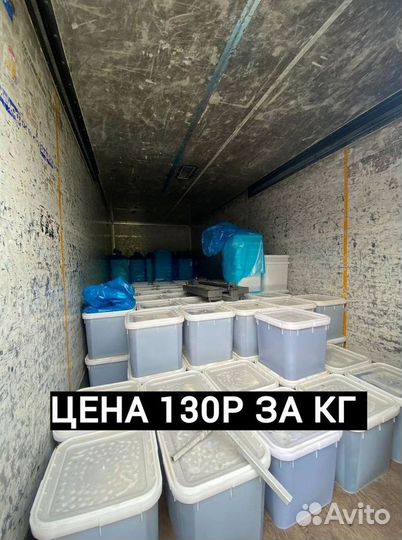 Мед оптом с Алтая от 0.5 Тонн