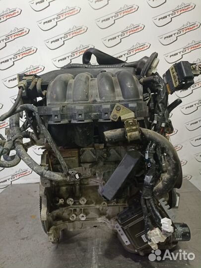 Двигатель nissan QR25-DE bassara murano presage serena teana X-trail jtnu30 JTU30 RC24 T30 TNJ31 TNU