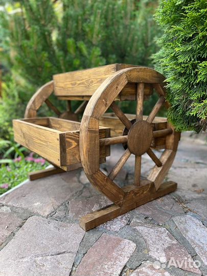 Цветочница уличная