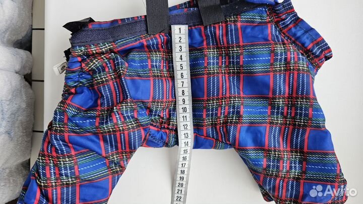 Одежда для собак мелких пород