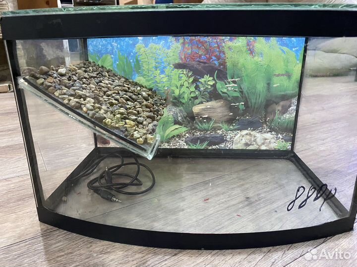 Аквариум