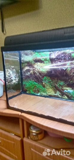 Аквариум 70л Ш 68 Г 28 В 37 с лампой