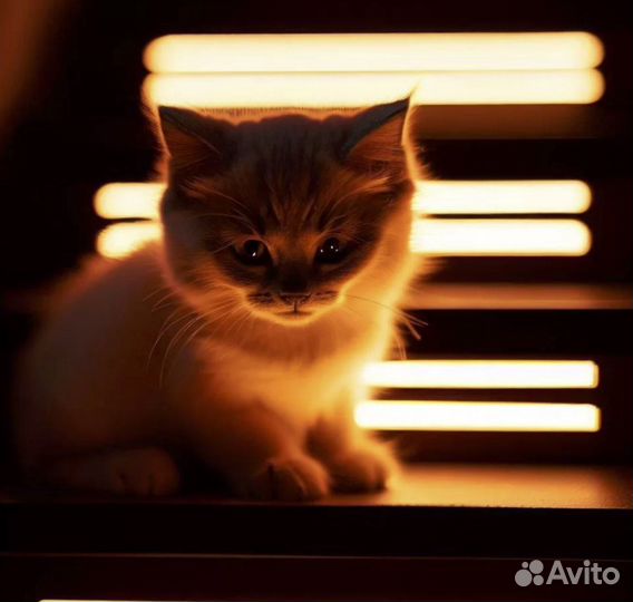 Подсветка лестницы с датчиками движения