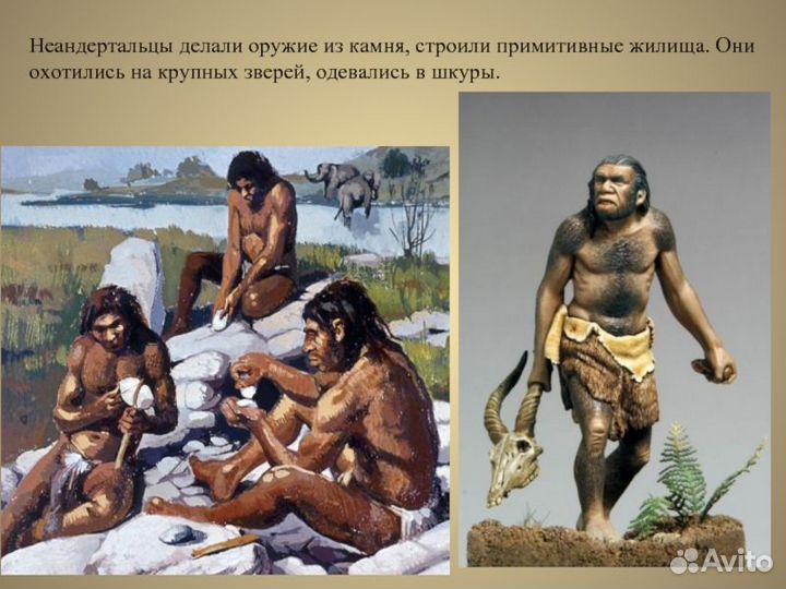 Орудия труда кремневый нож + проколка