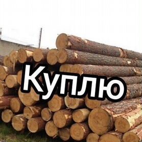 Лес кругляк пиловочник