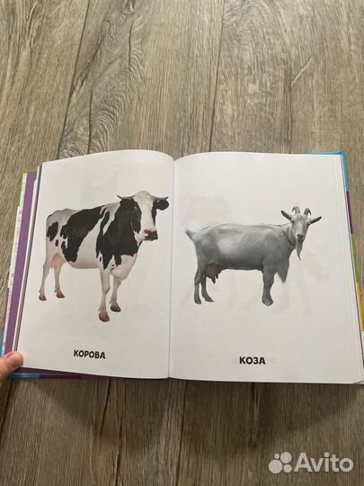 Книга детская 0-3 лет