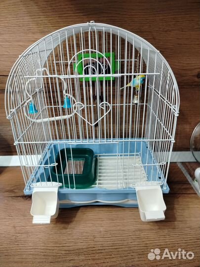 Клетка для попугая