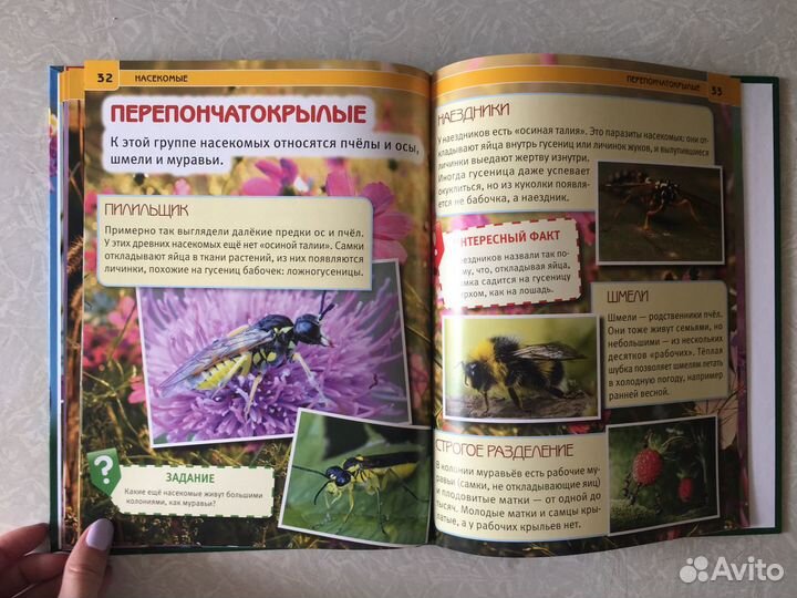 Детская энциклопедия Насекомые