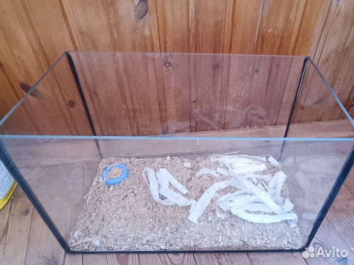 Аквариум террариум