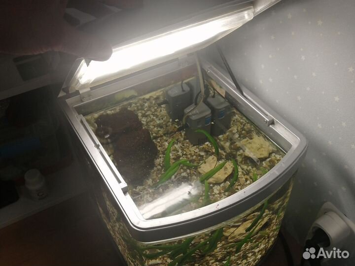 Аквариум с рыбками