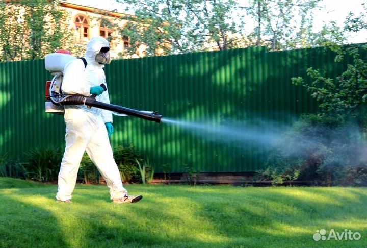 Уничтожение клопов тараканов грызунов блох плесени