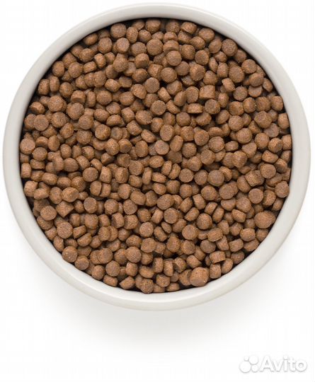 Набор корм Грандорф 4 мяса 400гр + консервы 6шт