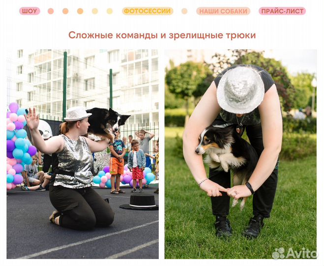 Шоу с дрессированными собаками на праздник