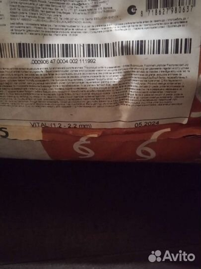 Корм для форели, осетра