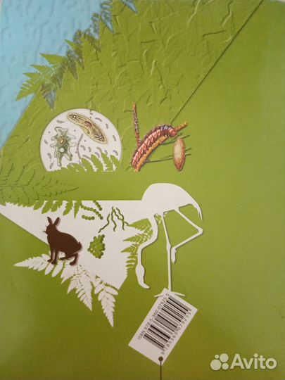 Новая рабочая тетрадь по Биологии 5-6класс