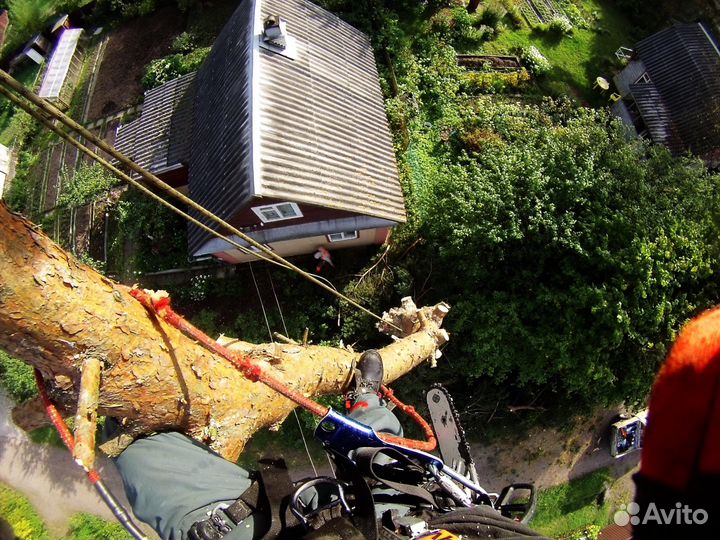 Спилим деревья частями
