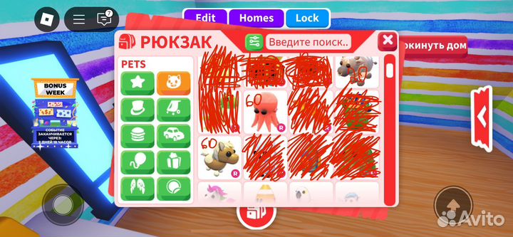 Петы адопт ми