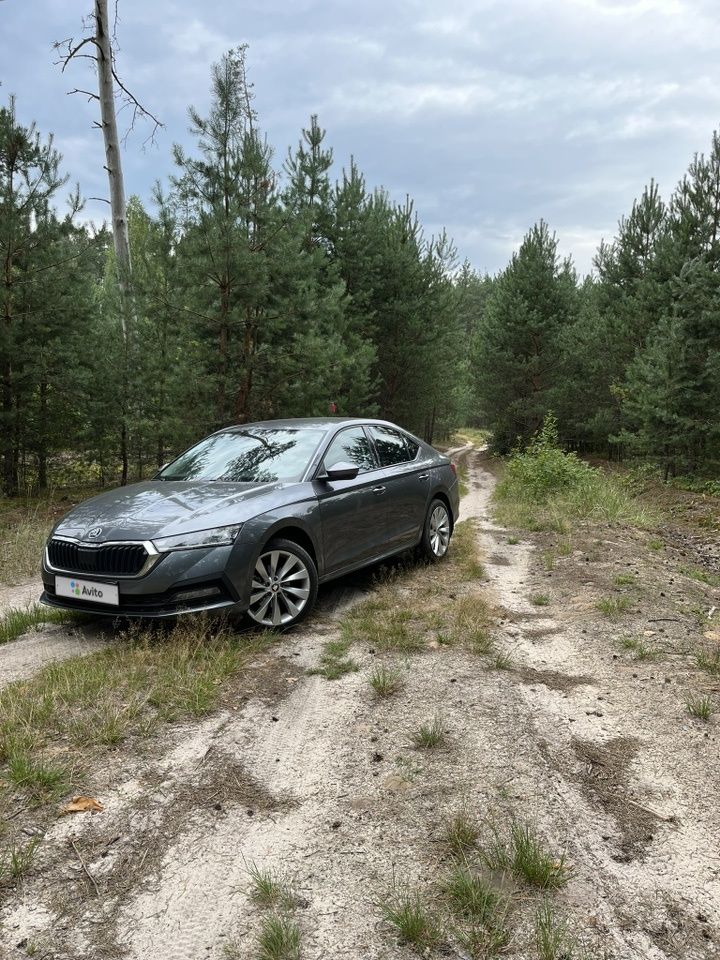 Skoda Octavia: фото владельца