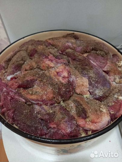 Конина, казы (казылык), шужук