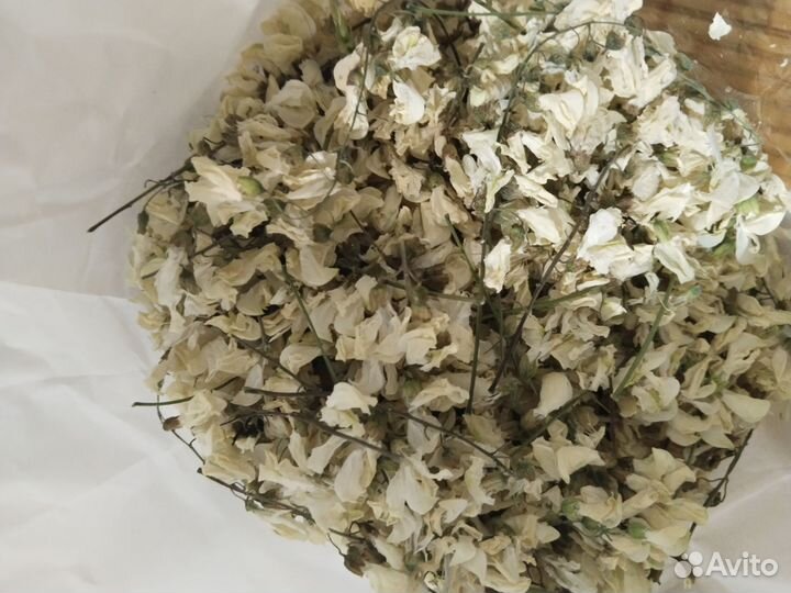 Цветки белой акации бузины черной