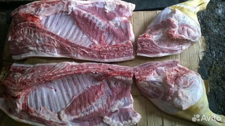 Мясо свинина домашняя,зерновой откорм