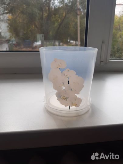 Кашпо для цветов