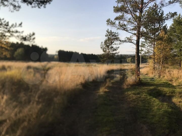 Участок 15 сот. (СНТ, ДНП)