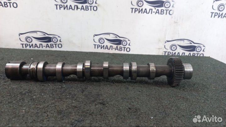 Распредвал BUG Audi Q7, Ауди Ку7