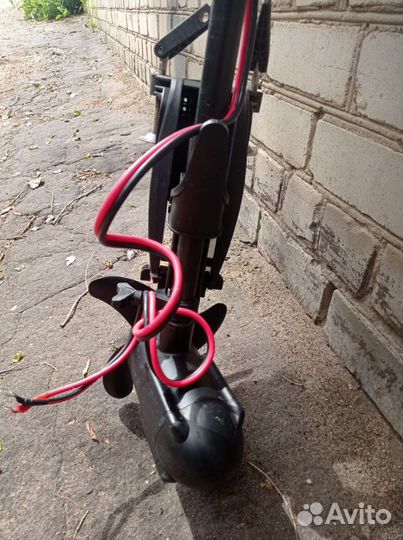 Haswing Protruar 1,0