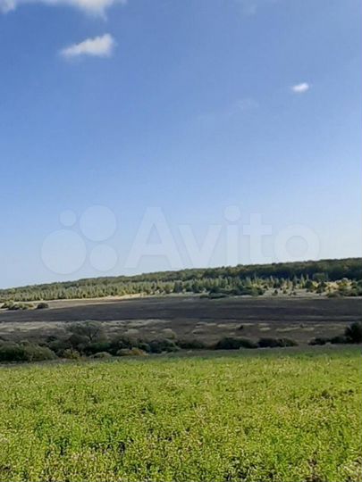 Участок 7,16 га (СНТ, ДНП)