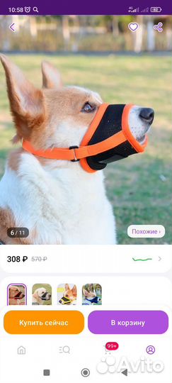 Намордник для средних собак