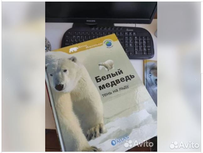 Красочная энциклопедия о животных для детей