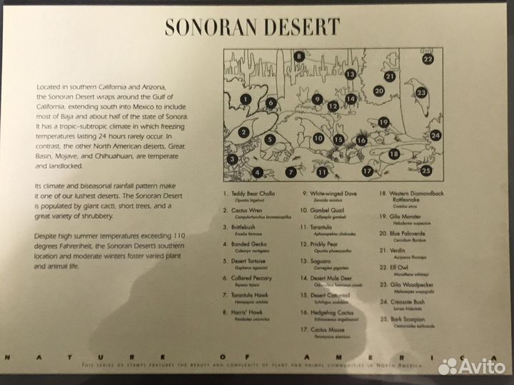 Марки nature of america вся серия