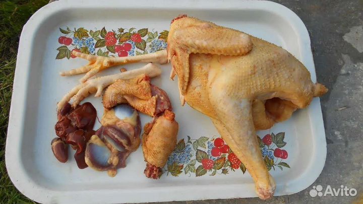 Мясо утки, кур